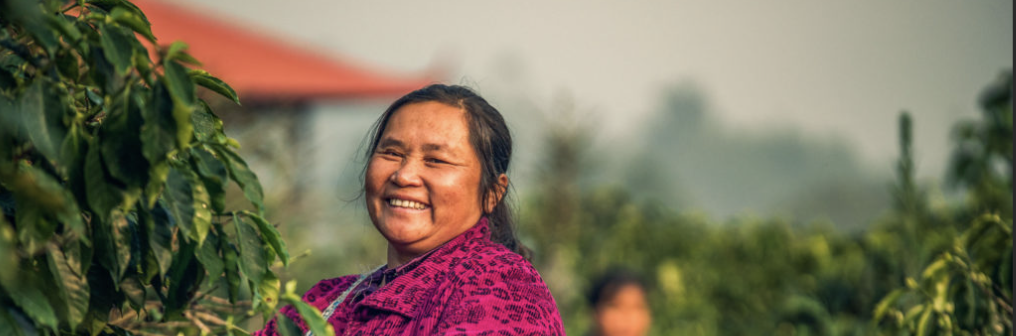 WX20240416-183355@2x